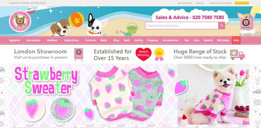 dropshipping store examples pet boutique dropshipping store pet boutique with colourful, cute and kid-friendly illustrations and shpwcasing their strawberry sweater product bot on its own and on a model (dog)