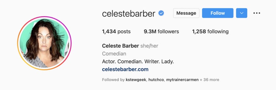 Industry field aesthtic instagram bio example celeste barber Instagram page