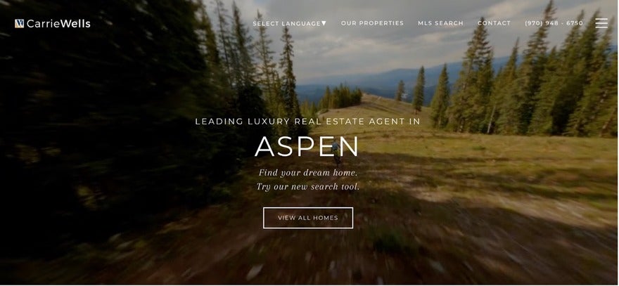 Carrie Wells Homepage banner of CarrieWells, a luxury real estate agent in Aspen, with a scenic mountain backdrop, inviting visitors to find their dream home.