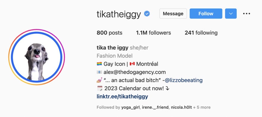 Quoteaesthtic instagram bio example Tikatheiggy Instagram page with 1.1 million followers