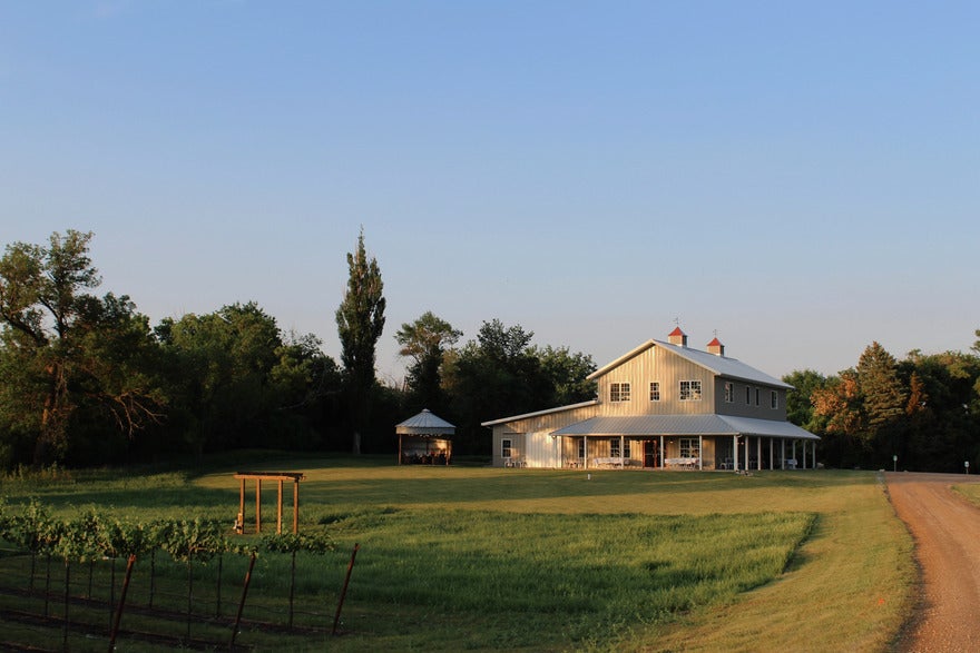 A white house surrounded by land and vineyards