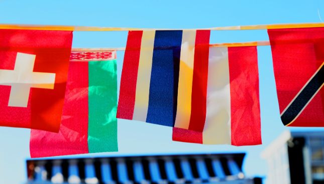 translation - side hustles Side hustle: translation