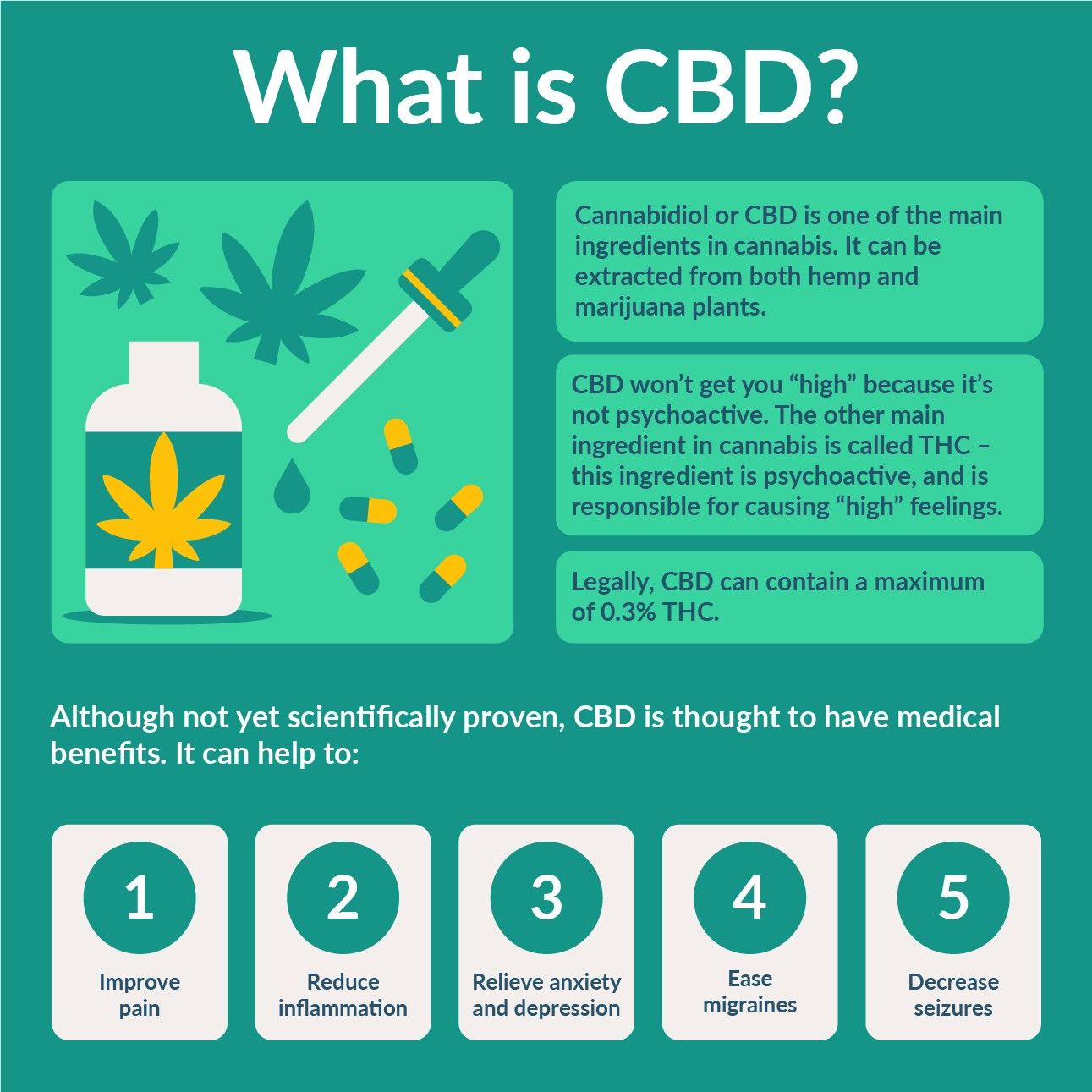what is cbd infographic what is cbd