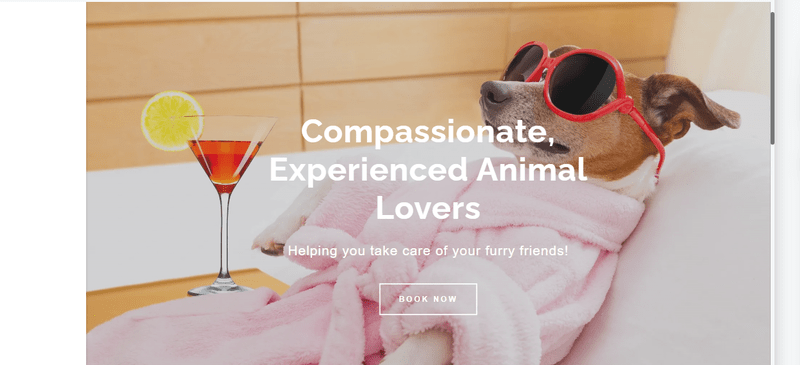 GoDaddy editor a cool dog with sunglasses and a pink bathrobe with cocktail lying on a sunbed