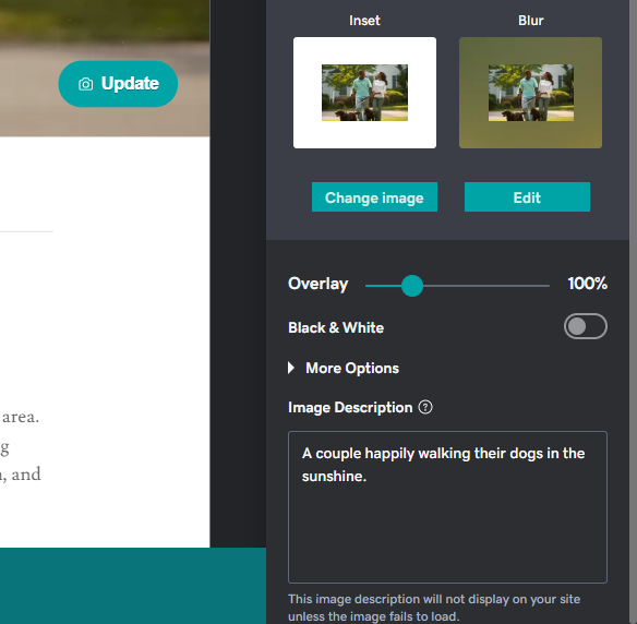 GoDaddy alt text a slider in a menu next to a box where a description has been written