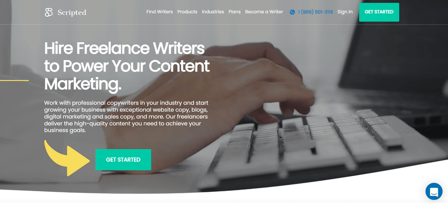 Best Writer Website Scripted Home Page