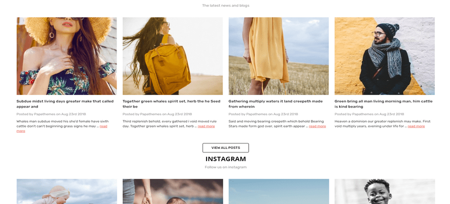 bigcommerce chiara fashion theme blog and social