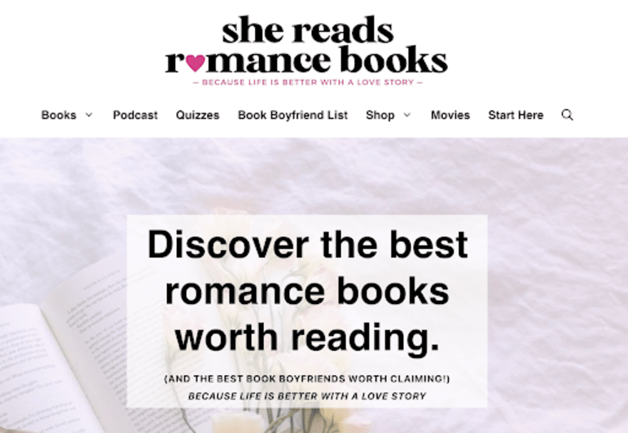 blogging niche niche blog example