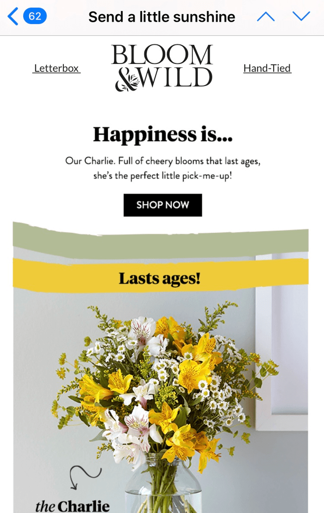 bloom and wild email consistent branding credibility factor bloom and wild email consistent branding credibility factor