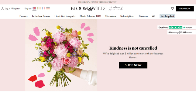bloom and wild website credibility branding