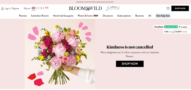 bloom and wild website credibility branding bloom and wild website credibility branding