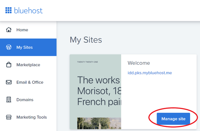bluehost manage site