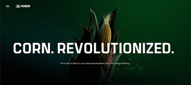 Corn Revolutionized Corn Revolutionized
