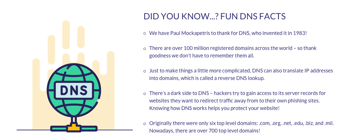 DNS Assets 7 dns facts