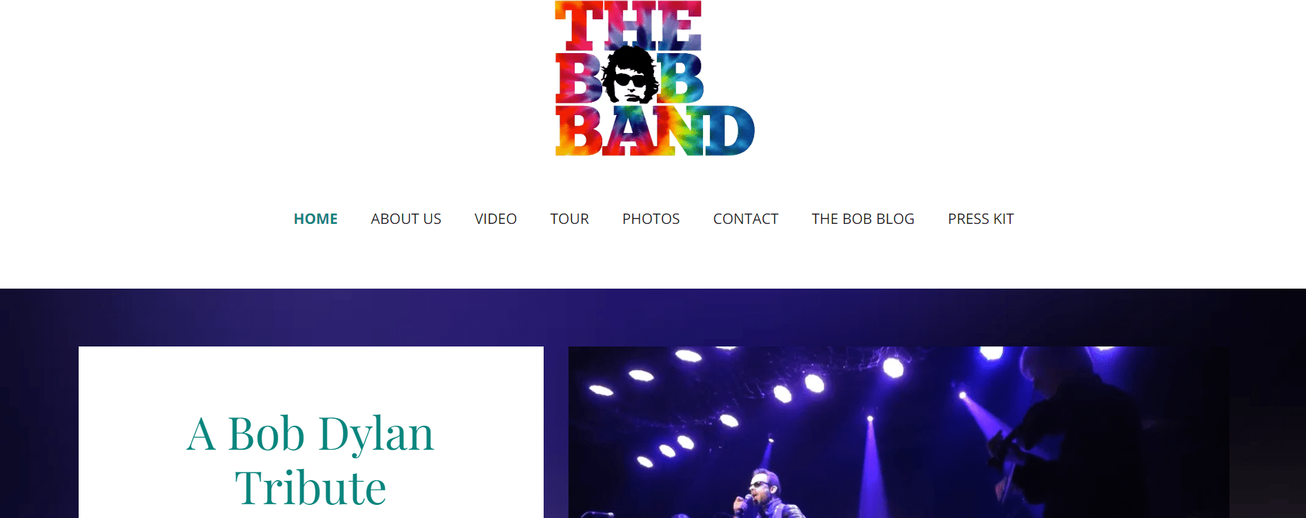 Godaddy artists (1) a website for a bob dylan tribute band.
