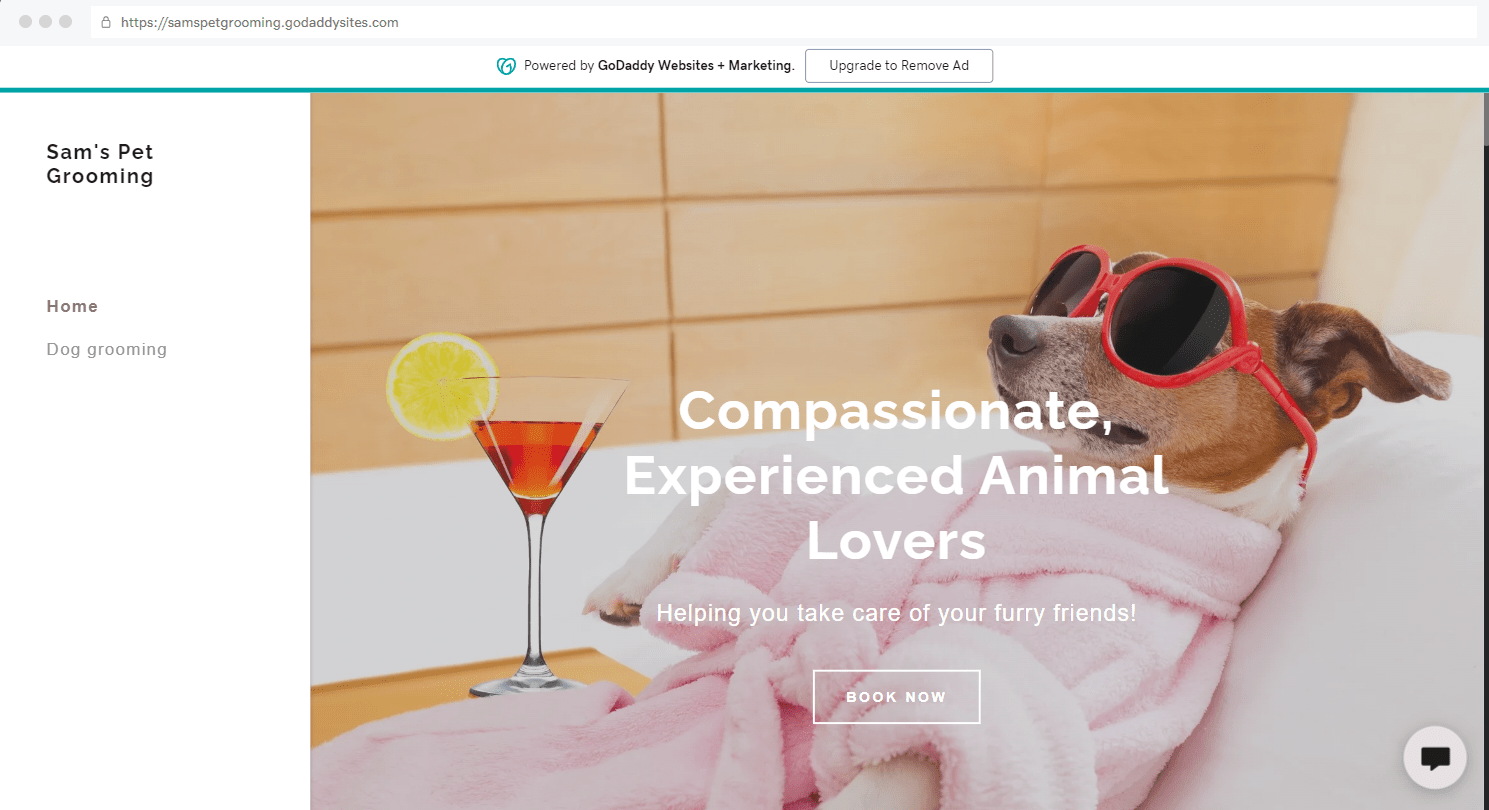 Homepage of GoDaddy demo website for Sam's Pet Grooming