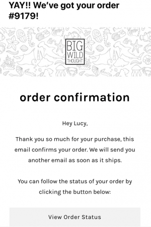 how to ship products big wild thought email order confirmation how to ship products big wild thought email order confirmation