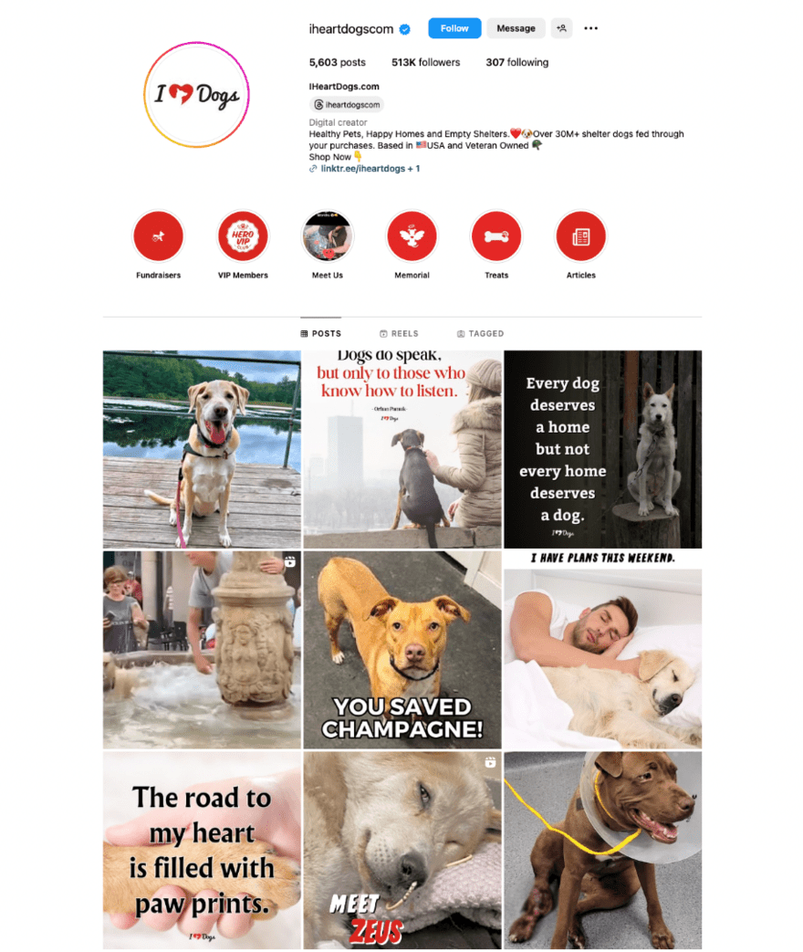 I Heart Dogs blog instagram Instagram page showing posts of dog photos for the I Heart Dogs blog social media