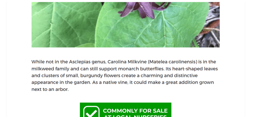 Article on Kentucky Native Plants Project featuring a green box to say if the plant is available to buy