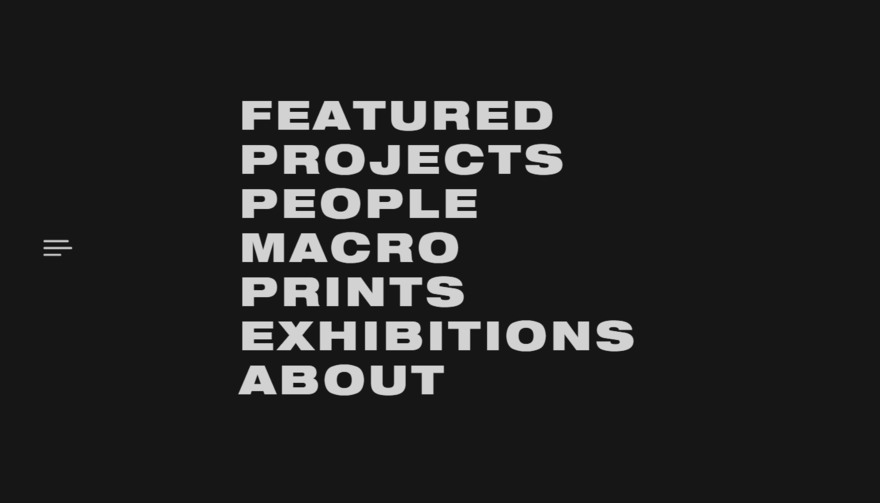 Levon Biss photography website menu