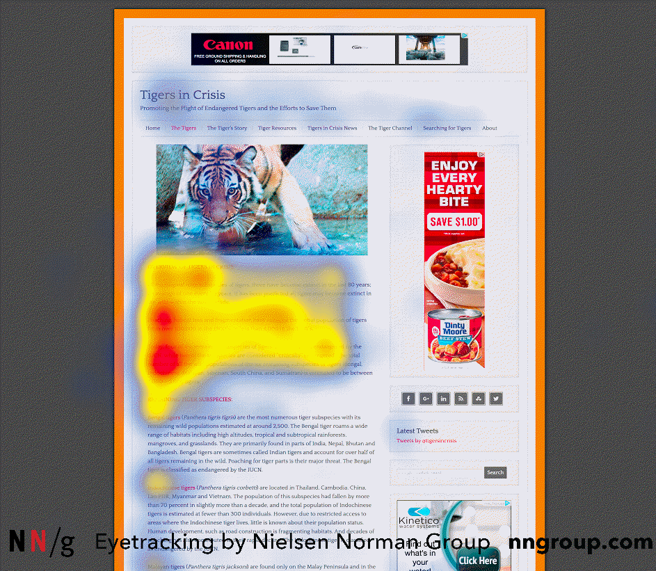 neilson content eyetracking Image showing thermal eye tracking of a web page, where eyes are usually directed to
