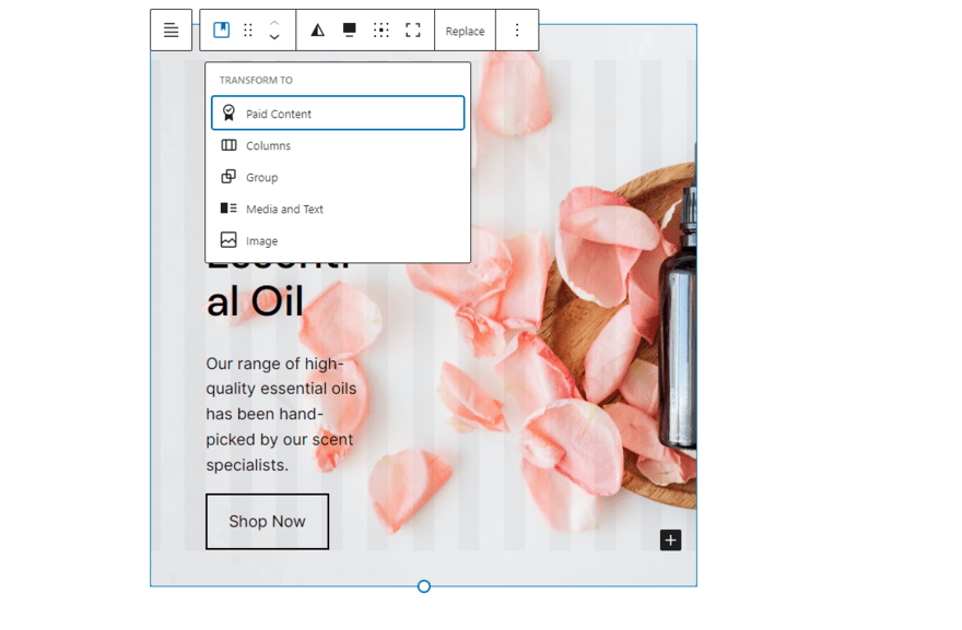 Paid Content An image of a WordPress.com template with a white menu highlighting the ability to include paid content.