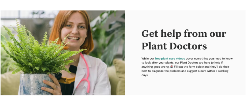 Plants Patch website advertising its Plant Doctors.