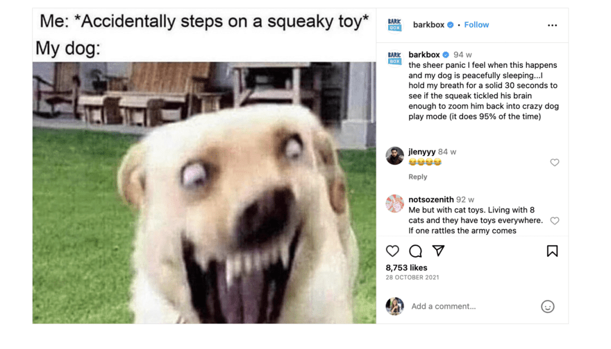 Barkbox meme marketing example Barkbox meme marketing example