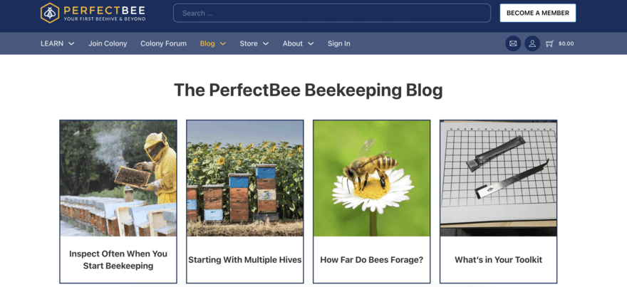 The Perfect Bee blog The Perfect Bee blog