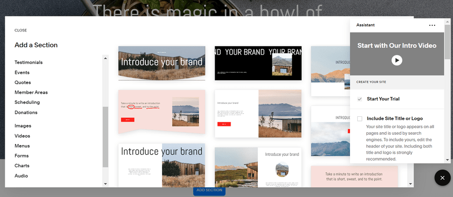 Squarespace add a section A list of section options with lots of template option images.