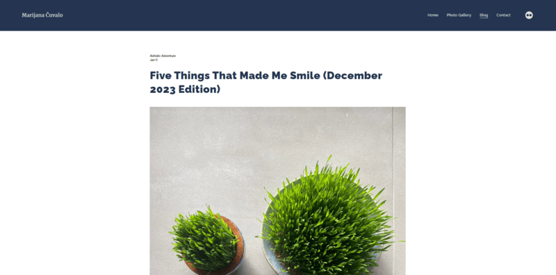 squarespace blogging user example a blog post featuring a featured image of a green cactus