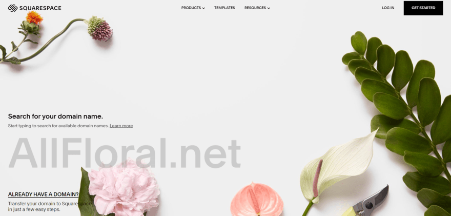 squarespace domain search Squarespace domain search