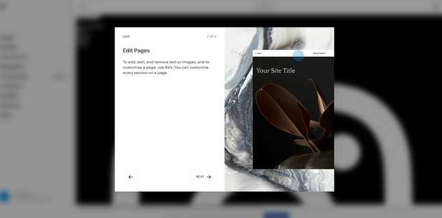 Squarespace popup tutorial Squarespace popup tutorial