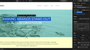 Webflow's editor interface