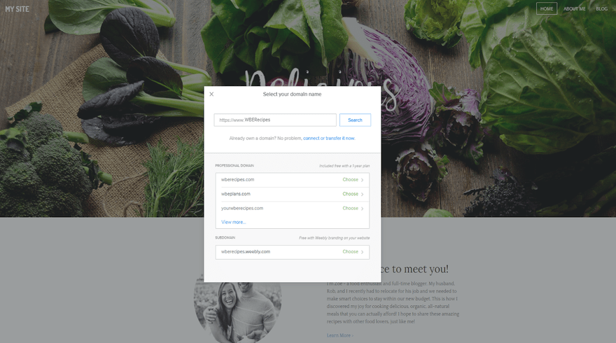 Weebly Domain Name Weebly preview website showing a pop up to select a subdomain