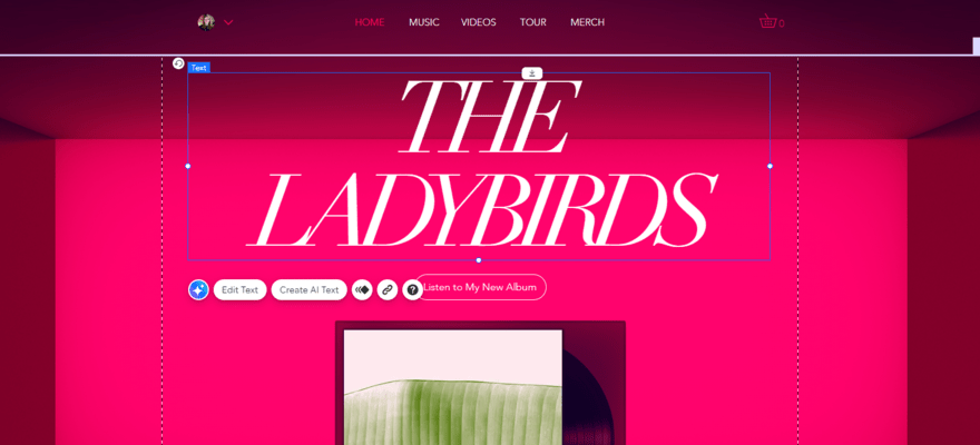 Wix demo website for a music act