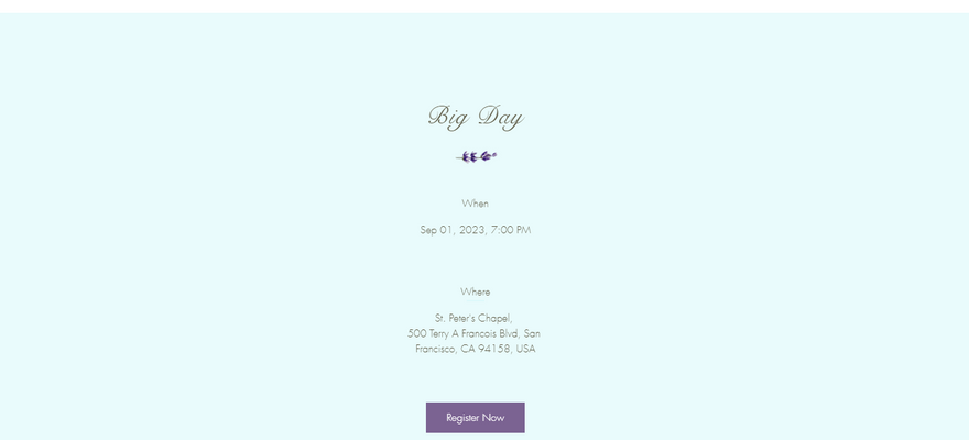 wix wedding template bella and brown wedding details